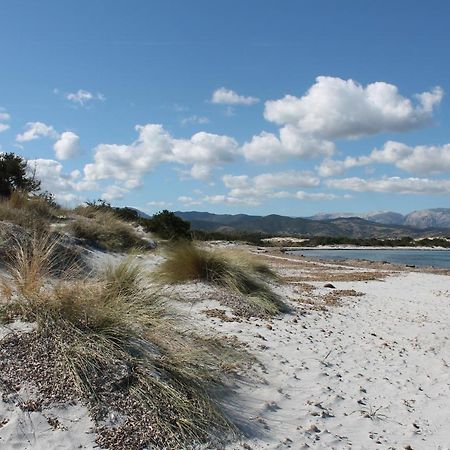 Vista Sul Mare E Tavolara Budoniaffitti Porto San Paolo  Eksteriør billede